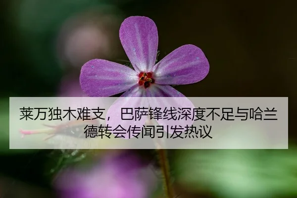 莱万独木难支，巴萨锋线深度不足与哈兰德转会传闻引发热议